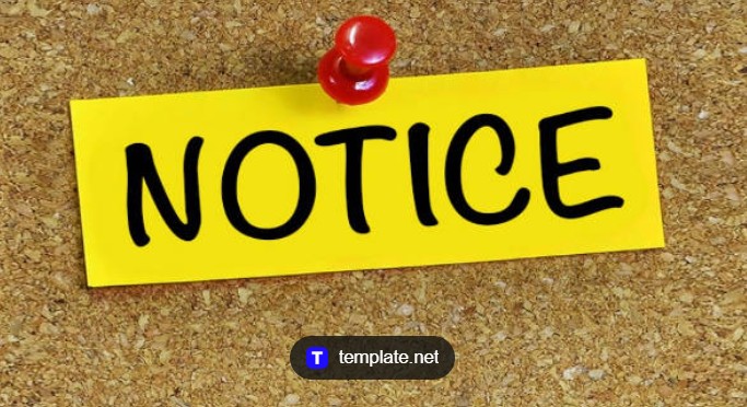 ಪರ್ಯಾಯ ಮಹೋತ್ಸವ: ಪರಿಷ್ಕೃತ ಮಾರ್ಗ ಬದಲಾವಣೆ ಅಧಿಸೂಚನೆ